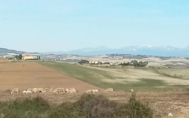 Agriturismo Gesseta