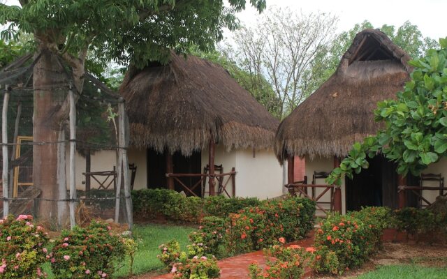 Mangrove King Fishing Lodge