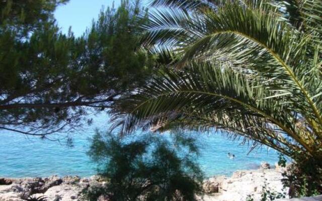 Apartments Zlatko Slobodan