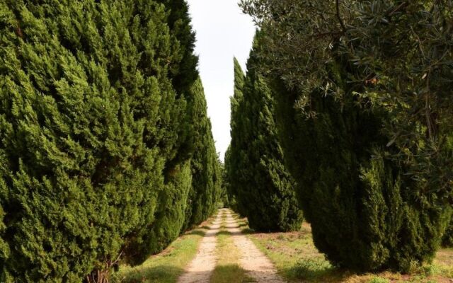 Château Saint-Esprit