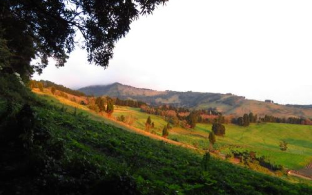 Rancho Amalia