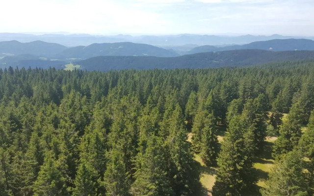 Rogla App Jerebika 11