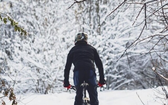 Holidayhaus Lütsche - Schneekopf