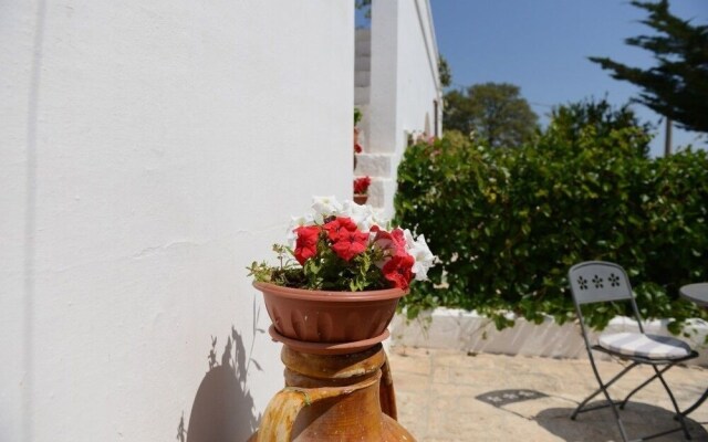 B&B Trulli Dal Conte