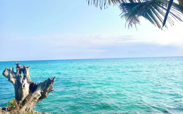 Miska Zanzibar