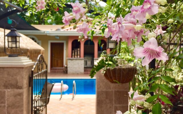 Refugio de la Montaña B&B