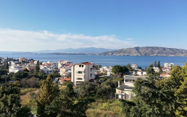 Salamina's Apartment