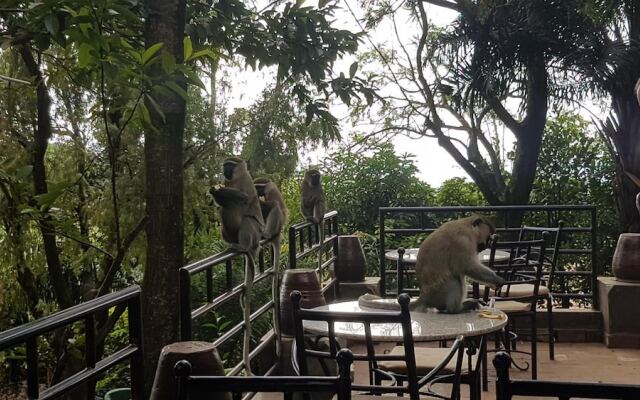 Kampala Forest Resort (KFR Lodge)