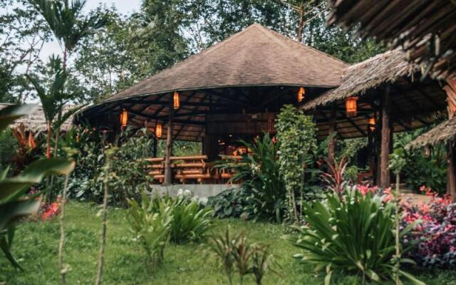 Our Jungle Camp - Eco Resort