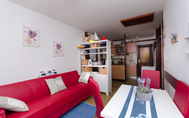Apartments Branka