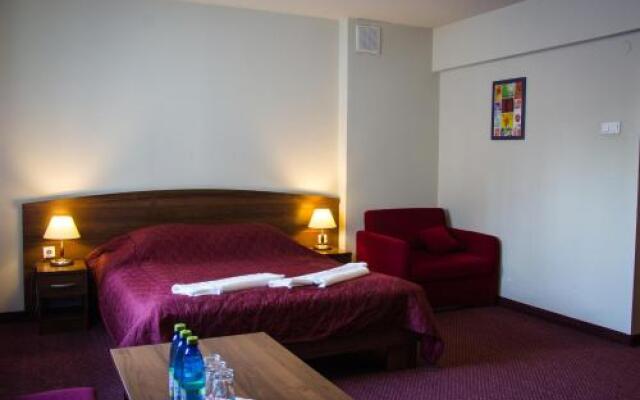 Hotel Pod Borem