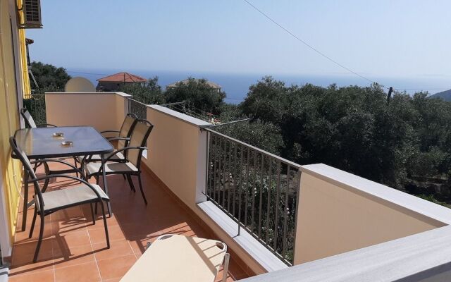 Olive Tree Apartment
