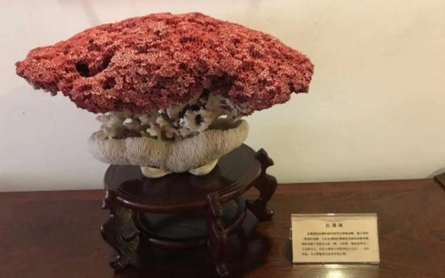 Beihai Seaview Caiyun Hotel (Qiaogang Beach Qiaogang Fengqing Street)