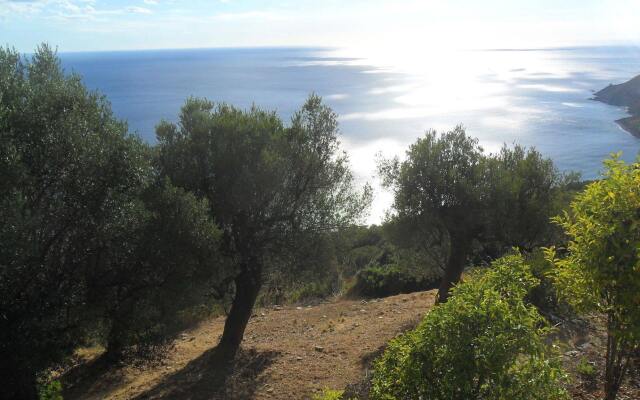 Agriturismo Principe di Vallescura