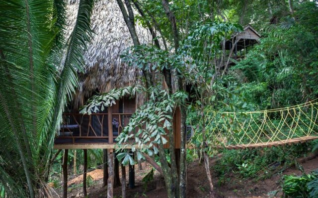 DuPlooys Jungle Lodge