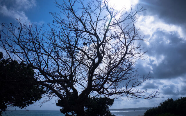 LoveSea 126 House Inn