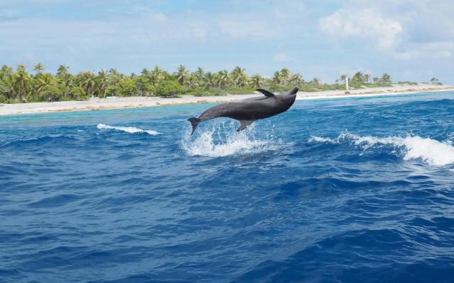 Tween Waters Island Resort & Spa