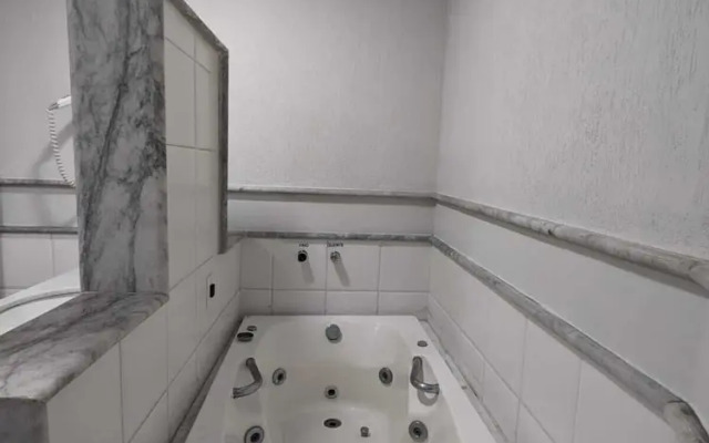 Hotel Horto Executivo