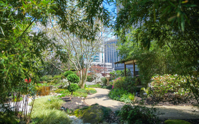 Grand Hyatt Atlanta in Buckhead