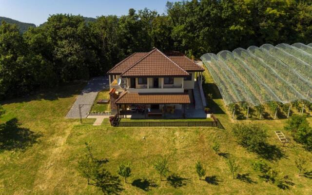 Apartmani Petra, Tea i Joža