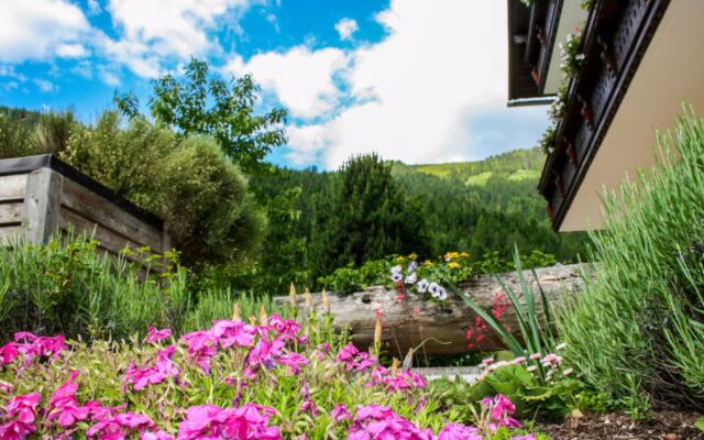 Apartment Hochjoch Irdning - Donnersbachtal
