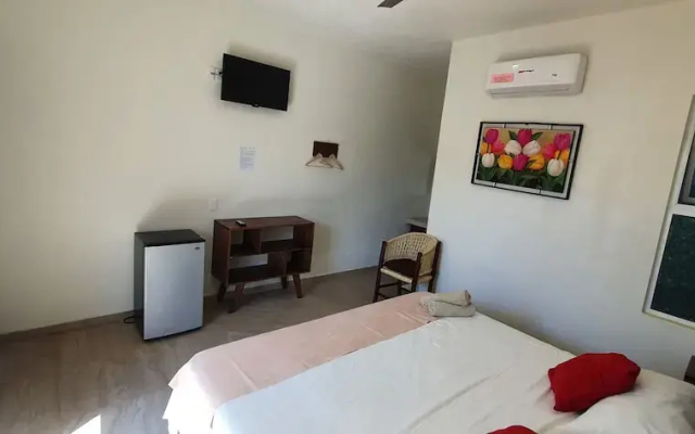 Carri Surf Studio