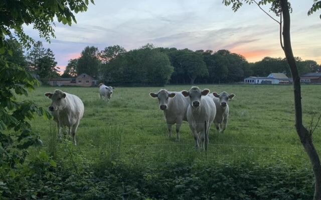 Hotel Rügenschmiede vis a vis Hiddensee