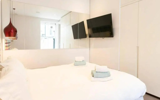 Superb Apartment near Buckingham Palace