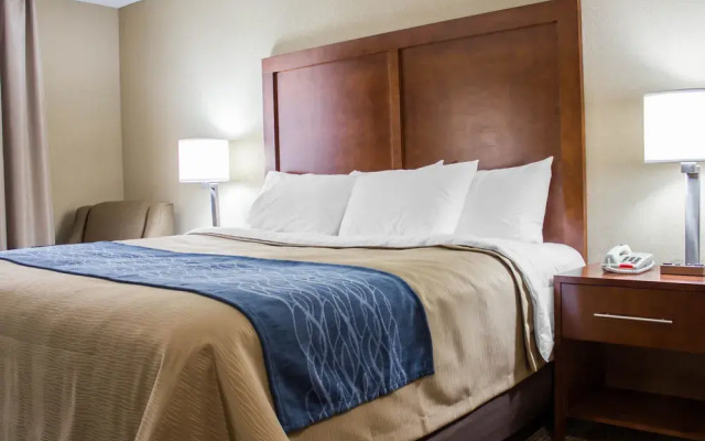 Comfort Inn Jamaica
