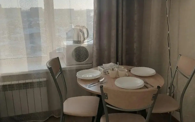 Apartments on Kirova street 206A