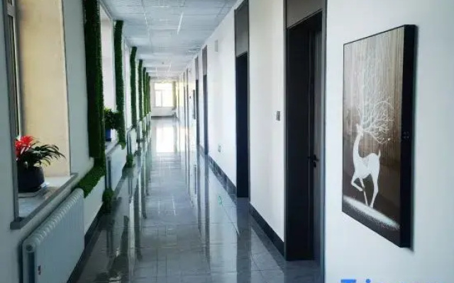 Luyou Dianshang Hotel