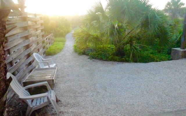 Crescent Palms