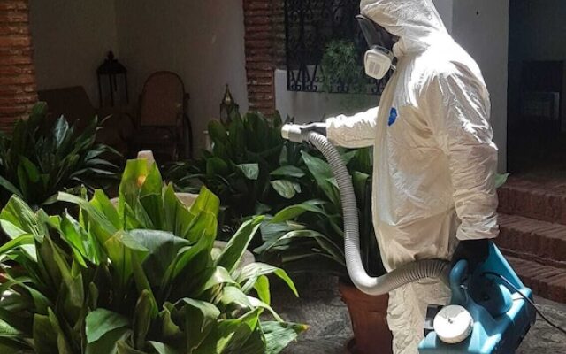 Palacete Magistral Dominguez