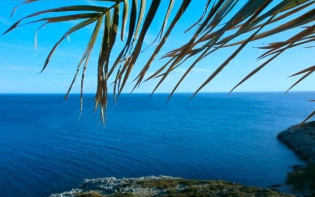 Agnantio