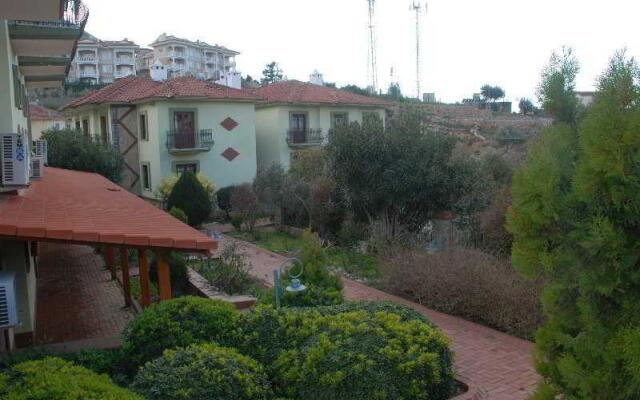 Seden