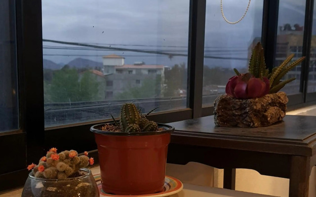 Studio Mirador, todo lo que necesitas para disfrutar