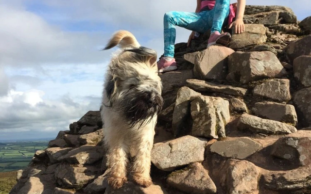 Exmoor House - Guest House