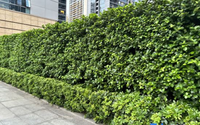 Shenzhen K2 International Youth Hostel – Exterior – Shenzhen