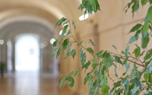 Les Chambres de l'Abbaye