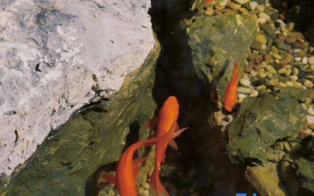 Xiaozhu Shiguang Nature Homestay (Sanbao Jingdezhen)