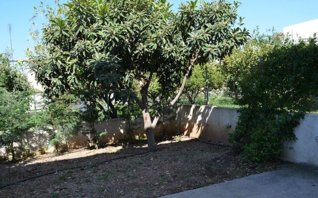 Blue Ark Aigeira Flat & Studio