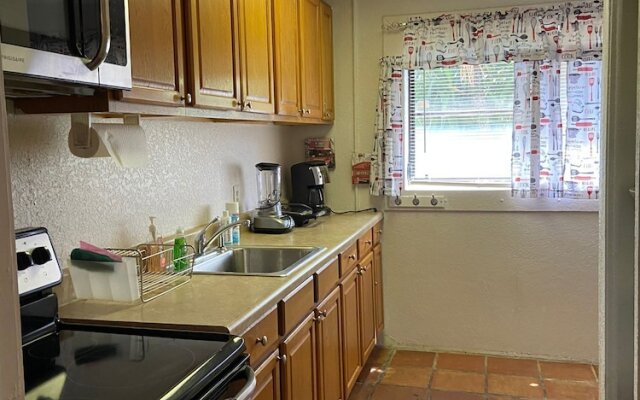 Treehouse Apartment Rentals