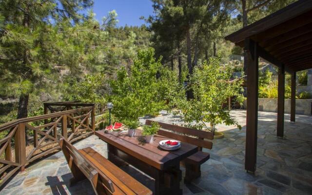 Ricky Chalet Near Troodos