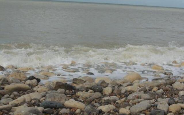 Aux Fleurs D'anemone