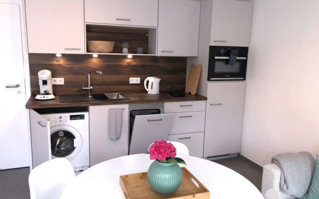 Pleasant Apartment With Terrace