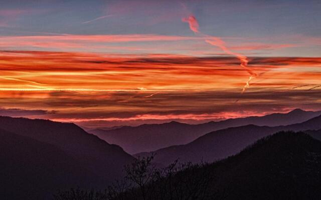 Viandanti, Artisti e Sognatori