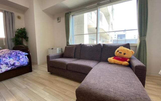 Downtown area Spacious cozy room Susukino IK601