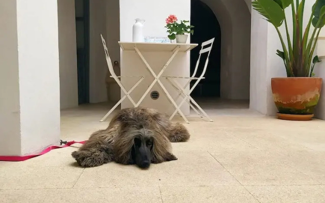 Casa boutique Encalada