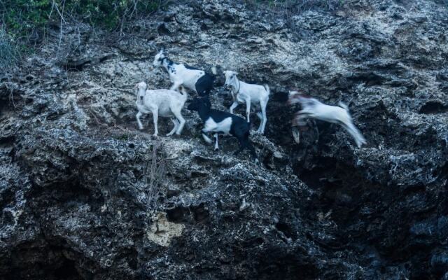 Pangani Cliffs Lodge