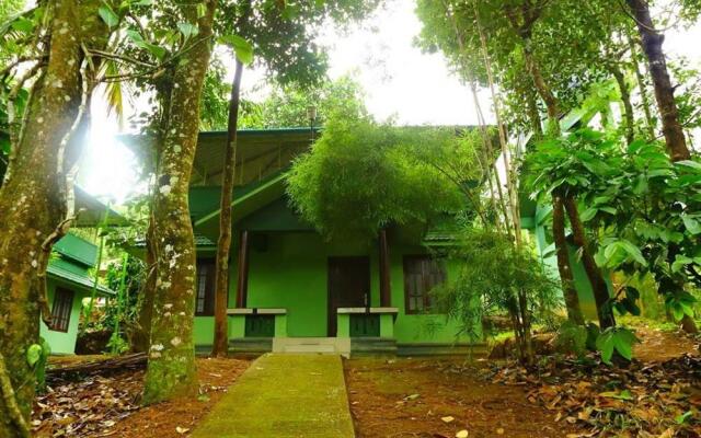 Shibi's Tea Garden Heritage